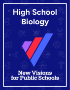 New Visions High School Biology cover image
