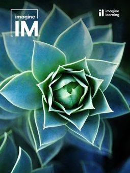 Cover for Imagine IM Integrated 1-3